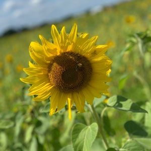 Prices are negotiable just message me about it 💗